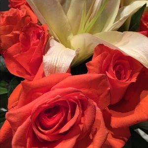 Meet your Posher, Eve